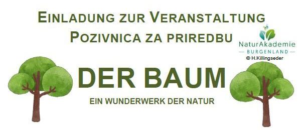 Bild enthält, Advertisement, Poster, Leaf, Plant, Herbal, Tennis, Tennis Ball, Page, Produce, Tree