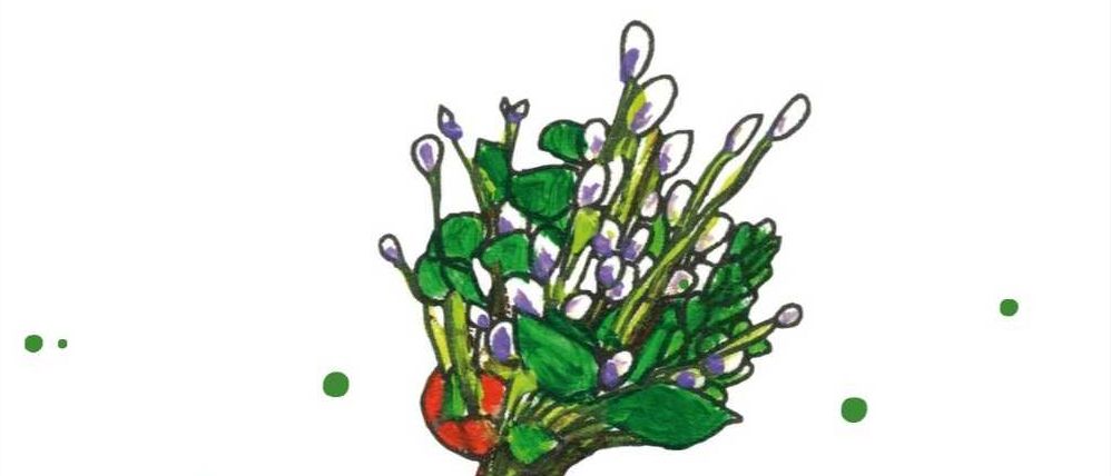 Bild enthält, Advertisement, Poster, Plant, Herbal, Graphics, Flower