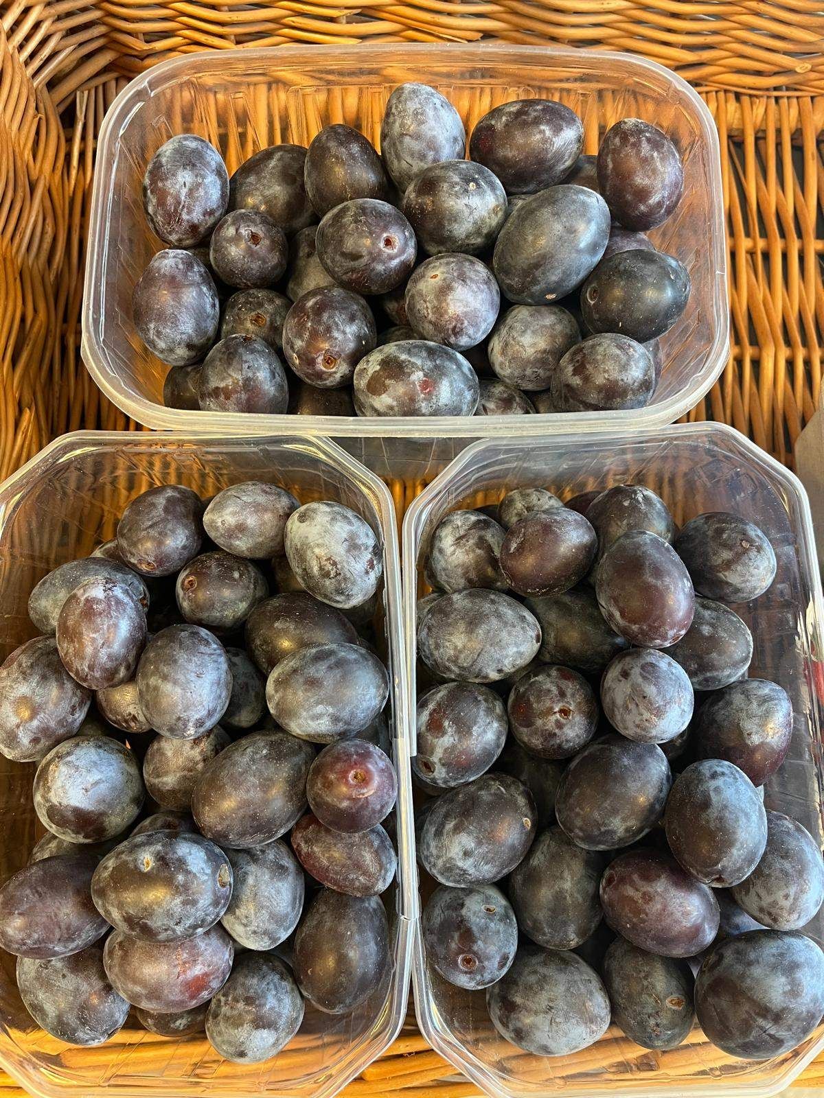 Three clear plastic containers filled with dark purple plums, arranged on a woven surface. The plums are plump and shiny.
