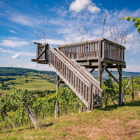 Bild enthält, Nature, Outdoors, Countryside, Rural, Farm, Scenery, Vineyard