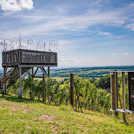 Bild enthält, Nature, Outdoors, Countryside, Rural, Farm, Vineyard, Scenery, Blackboard, Beverage, Wine Tour
