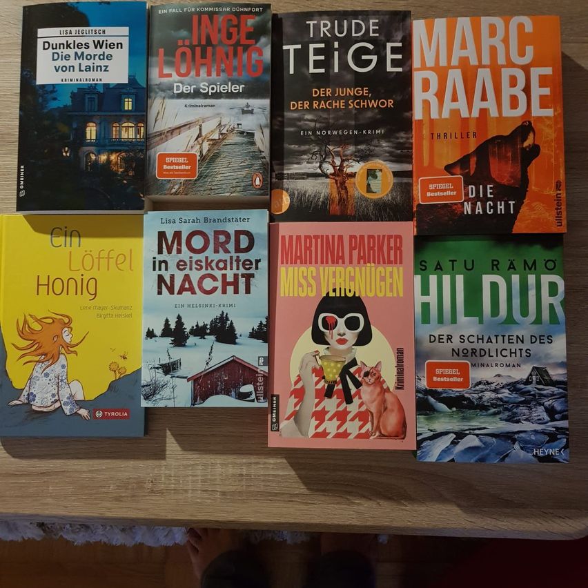 Eine Sammlung von Büchern wird auf einem Holztisch ausgestellt, einschließlich Titel wie 'Dunkelheit in Wien,' 'Inge Lohnig,' 'Trude Teige,' 'Marc Raabe,' 'Ein Löffel Honig,' 'Mord in eiskalter Nacht,' 'Martina Parker Miss Vergnügen' und 'Satru Ramo Hildur.'