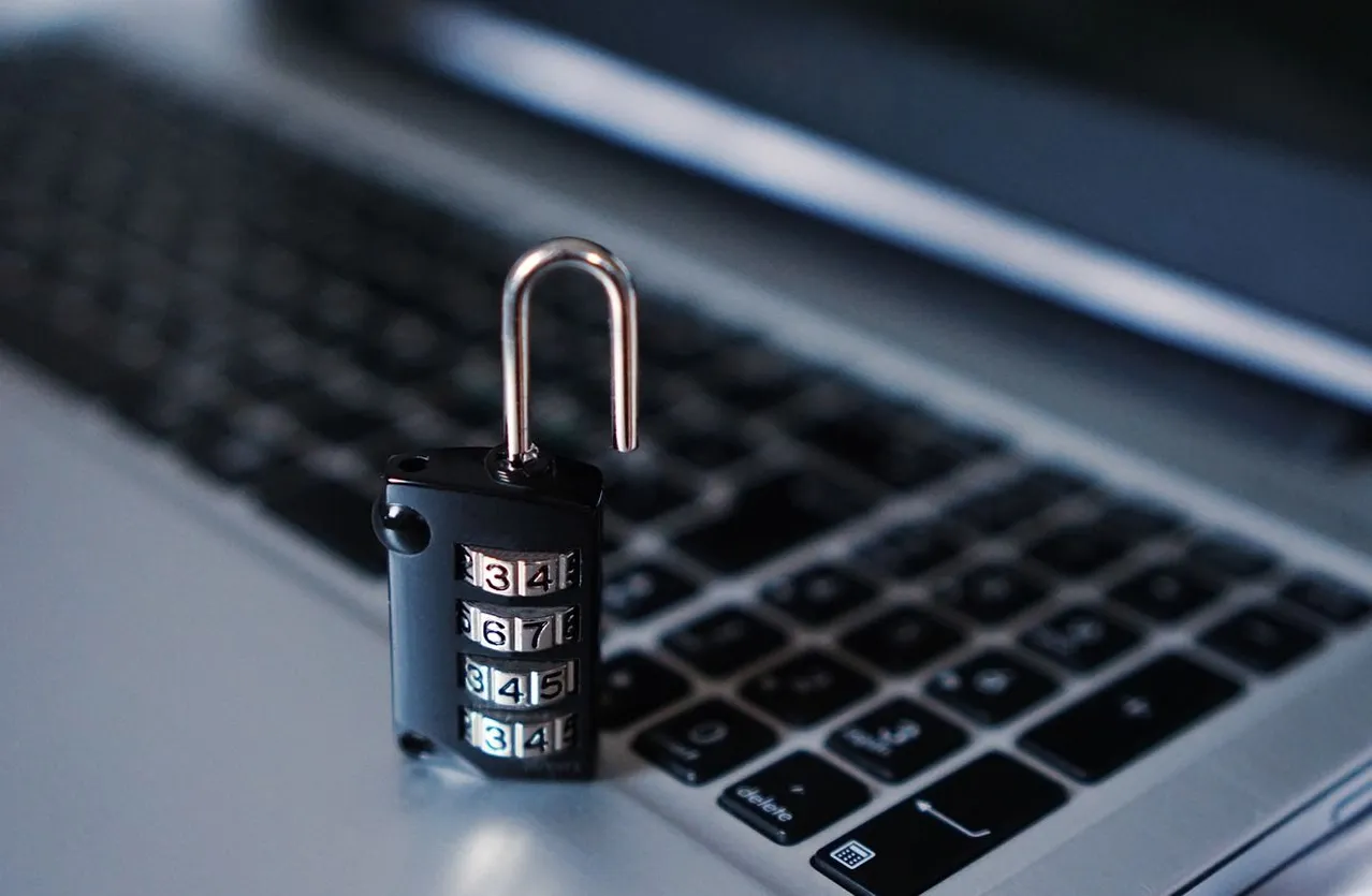 Person, Security, Computer, Electronics, Laptop, Pc