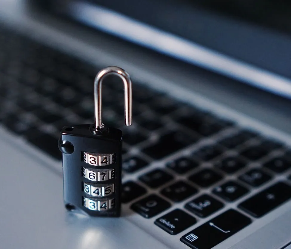 Person, Security, Computer, Electronics, Laptop, Pc