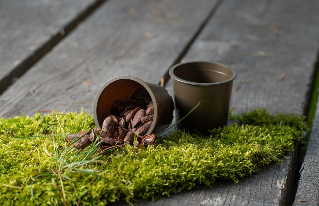 Ein umgekippter Topf mit Kakaobohnen liegt auf einem grünen Moosteppich, ein weiterer Topf befindet sich in der Nähe auf einem Holztisch.