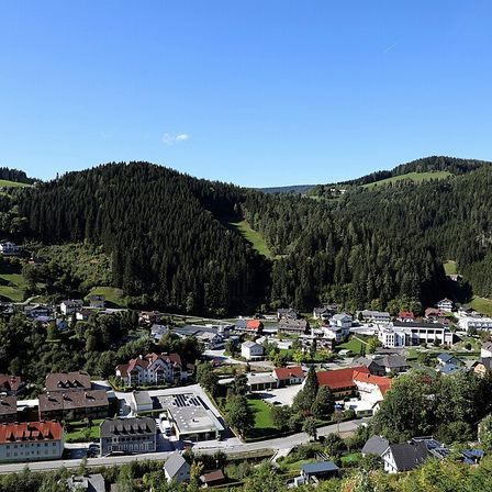 Luftaufnahme einer kleinen Stadt, eingebettet zwischen dichten Wäldern und Hügeln unter einem klaren blauen Himmel.