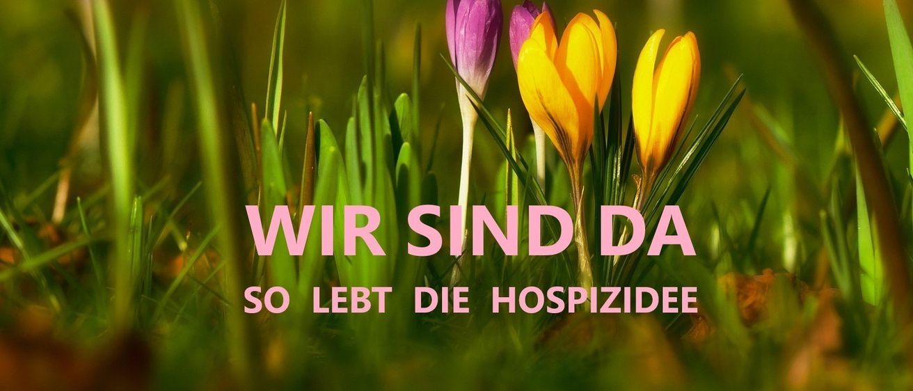 Ein Grasfeld mit violetten und gelben Blumen im Vordergrund, mit dem prominent angezeigten Text 'WIR SIND DA SO LEBE DIE HOSPIZIDEE'.