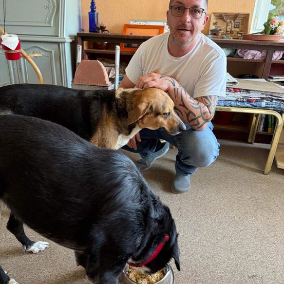 Ein Mann mit Tätowierungen streichelt einen Beagle, während ein anderer Hund aus einem Napf frisst.