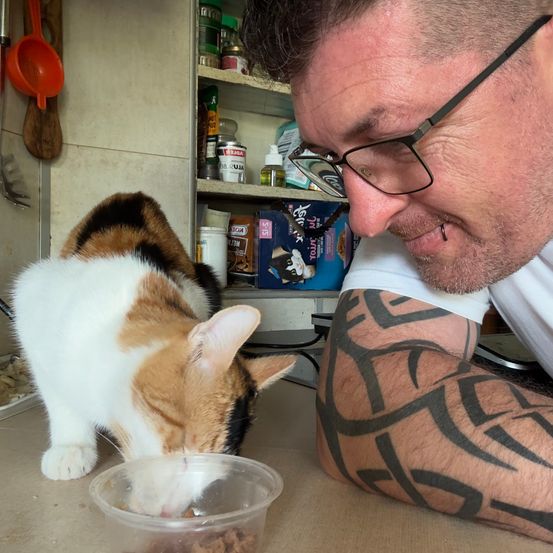 Ein Mann mit Tätowierungen am Arm beobachtet eine getigerte Katze, die aus einer Plastikschüssel frisst.