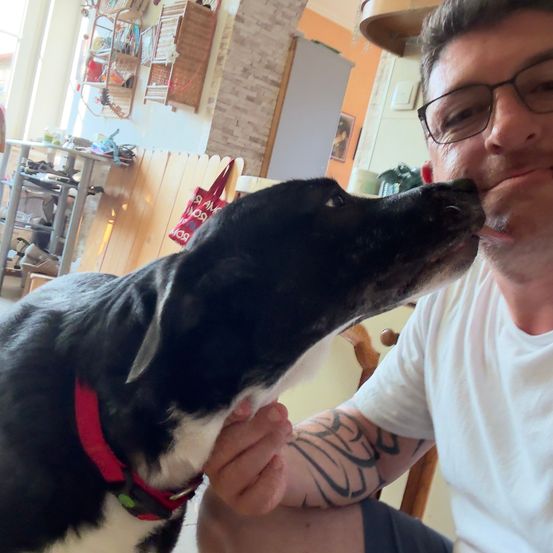 Ein Mann mit Brille und weißem T-Shirt küsst seinen Hund, der einen roten Halsband trägt und auf seinem Schoß sitzt.