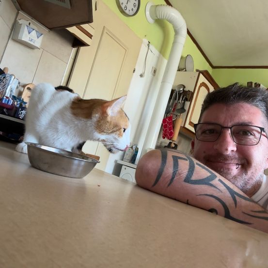 Ein Mann mit einem Tattoo am Arm sitzt an einem Tisch mit einer Katze, die in eine Schüssel schaut.