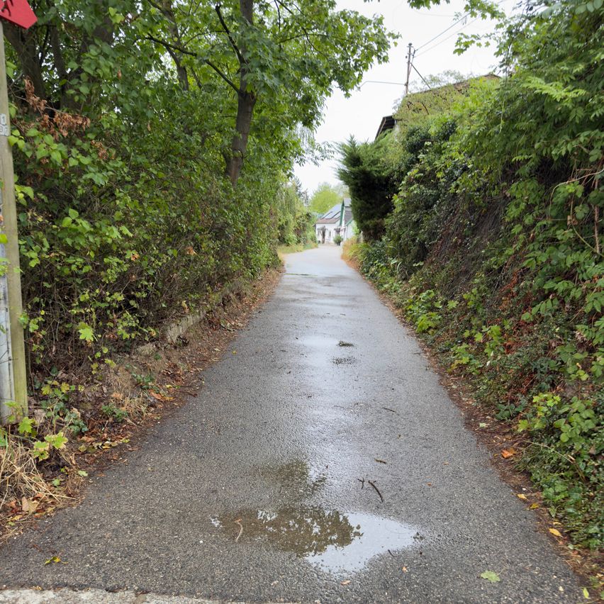 A wet, narrow pathway surrounded by lush greenery, with a distant house and a red sign on the left.