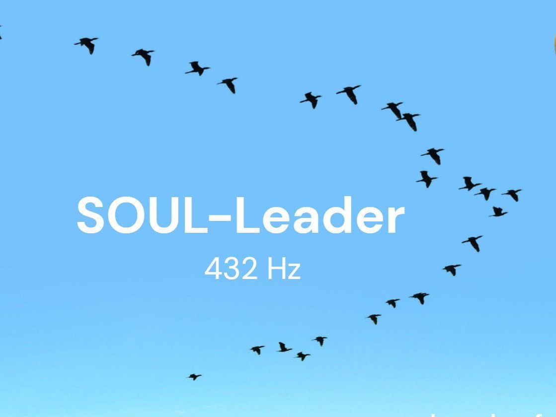 Ein Schwarm von Vögeln fliegt in V-Formation gegen einen blauen Himmel. Die Worte 'SOUL-Leader 432 Hz' sind prominent in weiß angezeigt.