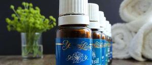 Bild enthält, Bottle, Can, Tin