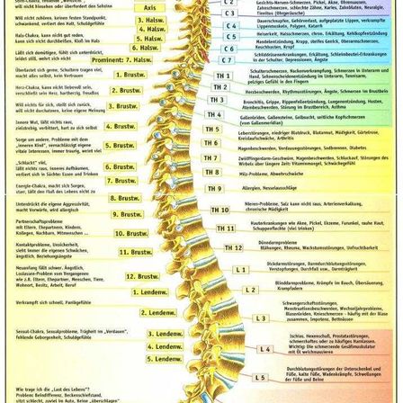 Bild enthält, Text, Page