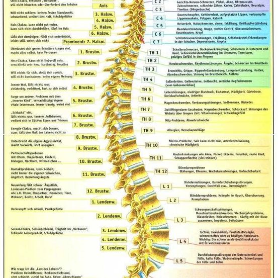 Bild enthält, Text, Page