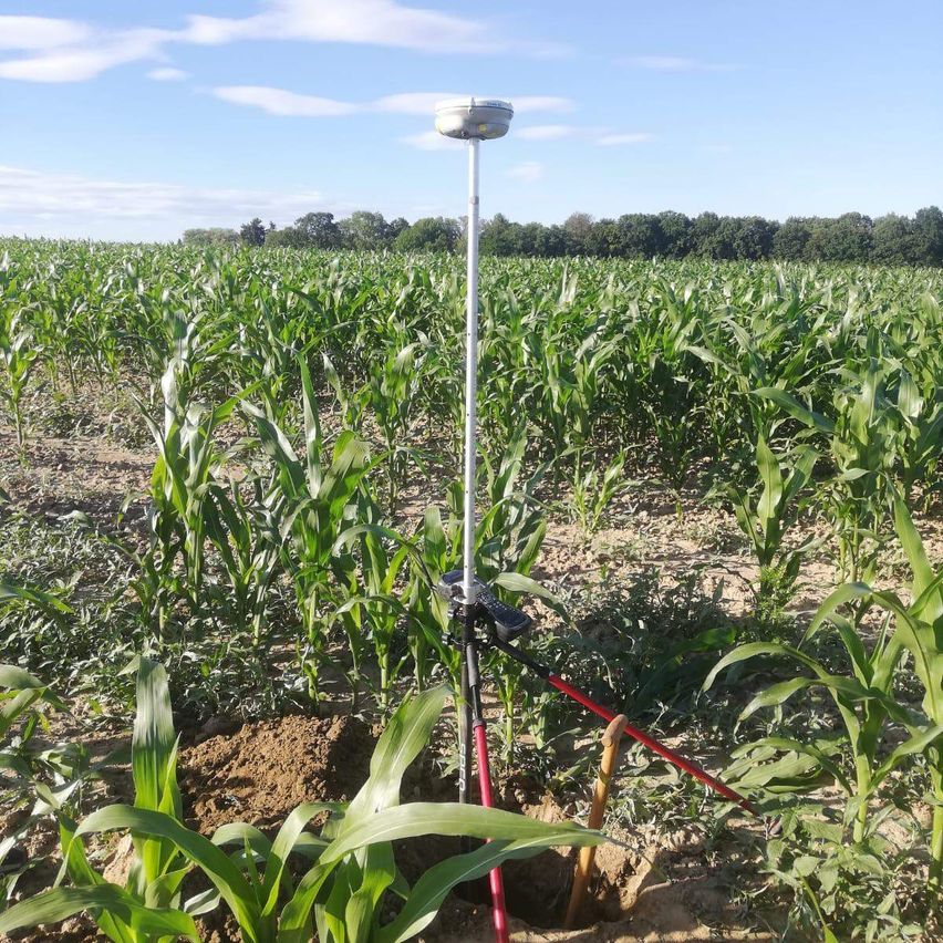 Bild enthält, Soil, Field, Nature, Outdoors, Arrow, Weapon, Countryside