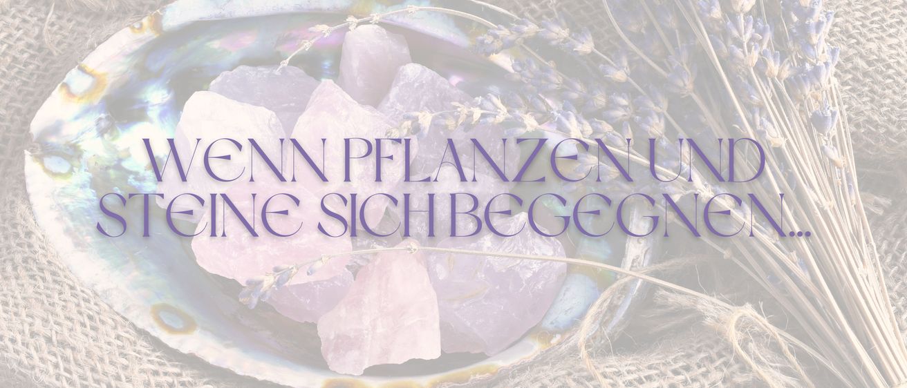 Eine Muschelschale gefüllt mit Lavendel und rosa Kristallen. Die Worte 'Wenn Pflanzen Und' sind in Lila geschrieben.