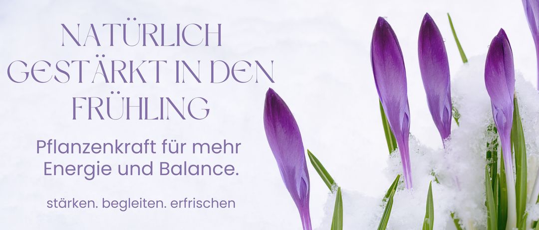 Ein Bild von violetten Krokusblüten, die aus dem Schnee aufsteigen, mit einem deutschen Textüberlagerung.