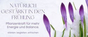 Ein Bild von violetten Krokusblüten, die aus dem Schnee aufsteigen, mit einem deutschen Textüberlagerung.