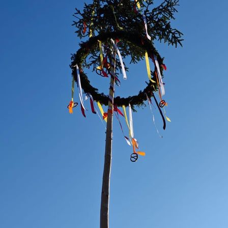 Ein hoher Baum mit einem Kranz aus Bändern und einem Friedenssymbol am unteren Ende vor einem blauen Himmel.