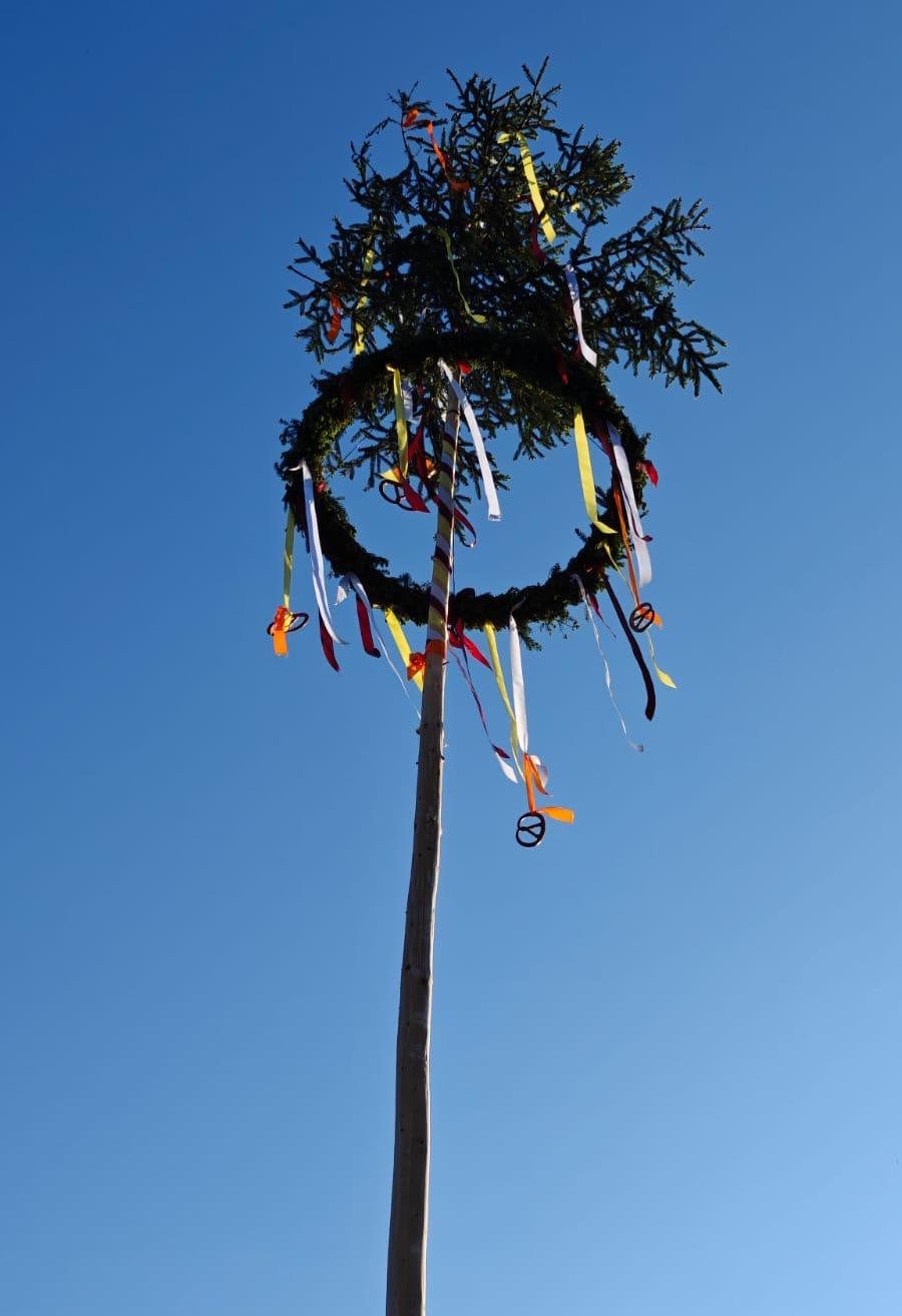 Ein hoher Baum mit einem Kranz aus Bändern und einem Friedenssymbol am unteren Ende vor einem blauen Himmel.