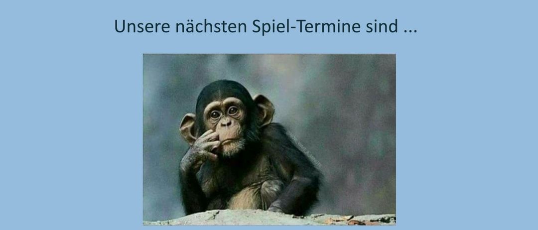 Bild enthält, Animal, Mammal, Monkey, Wildlife, Ape