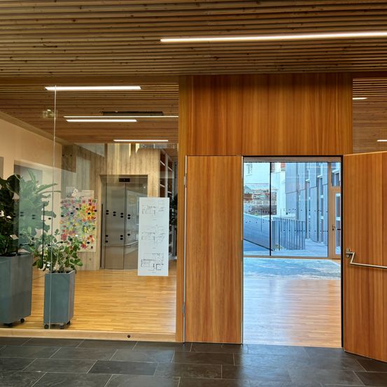 Eine offene Bürolobby mit Holzböden und -wänden. Links stehen zwei Topfpflanzen und rechts eine offene Tür. Es gibt eine Glaswand mit einer offenen Tür zu einem Außenbereich.