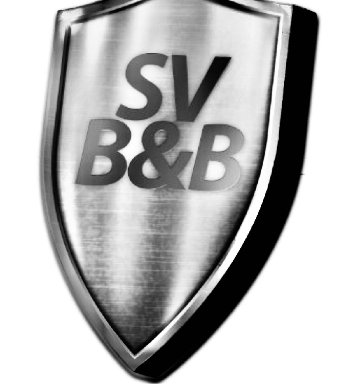 Bild enthält, Armor, Shield, Symbol