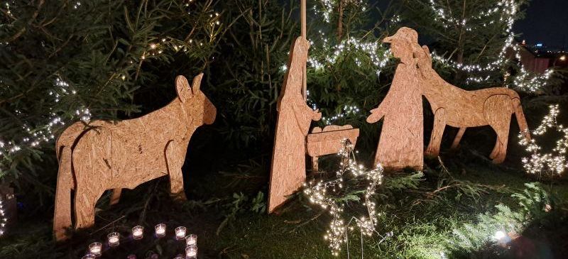 Eine Krippe mit Figuren von Maria, Josef und Tieren ist vor einem Hintergrund von beleuchteten Bäumen aufgebaut. Die Szene wird von einem Ring aus Kerzen umrahmt, der eine warme, festliche Atmosphäre schafft.
