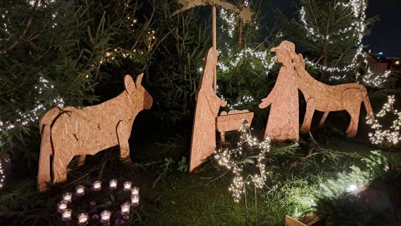 Eine Krippe mit Figuren von Maria, Josef und Tieren ist vor einem Hintergrund von beleuchteten Bäumen aufgebaut. Die Szene wird von einem Ring aus Kerzen umrahmt, der eine warme, festliche Atmosphäre schafft.