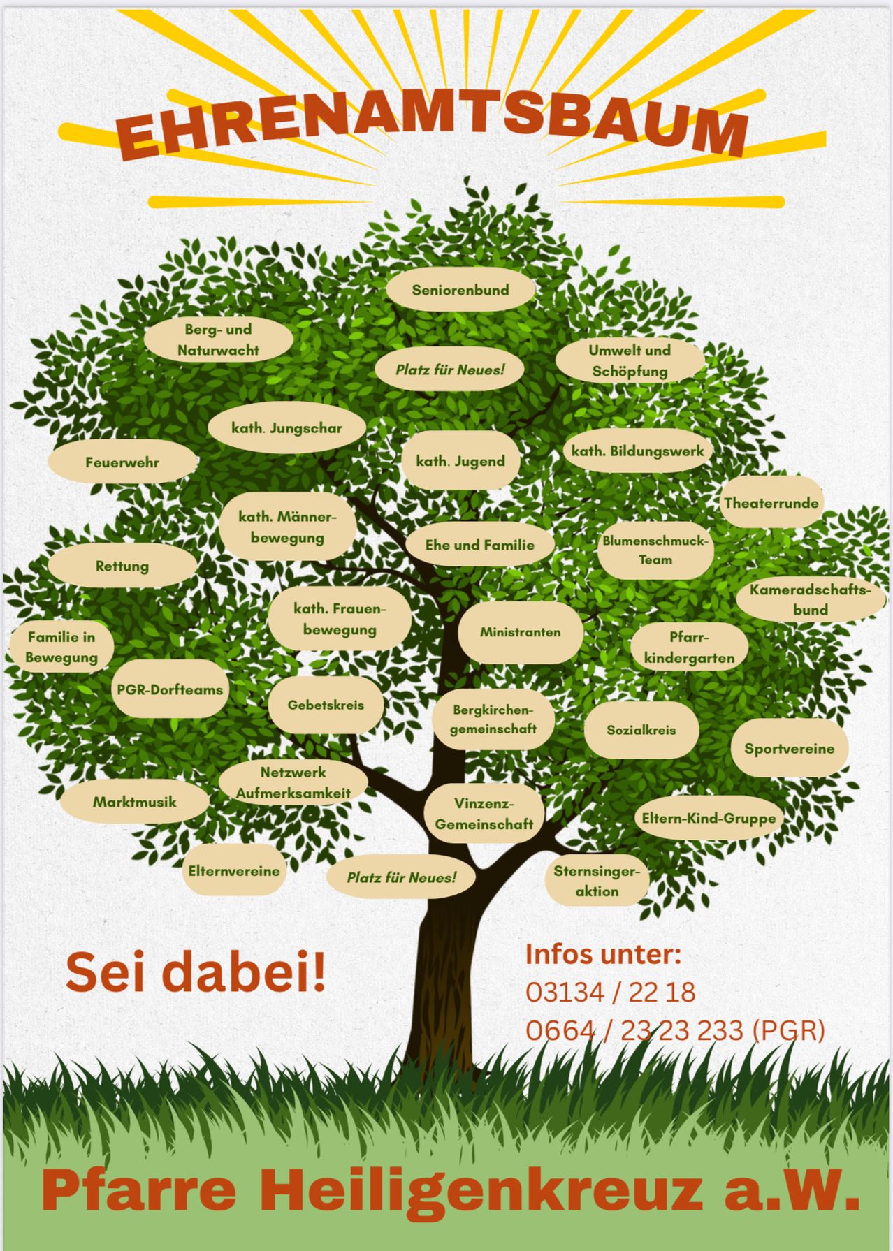 Das Bild ist ein Diagramm eines Baumes, der verschiedene Gemeinschaftsorganisationen darstellt. Es umfasst Gruppen wie 'Seniorenbund', 'Umwelt und Schöpfung' und 'Familie in Bewegung'. Unter dem Baum wird zur Teilnahme aufgerufen mit 'Sei dabei!' und Kontaktdaten werden angegeben.