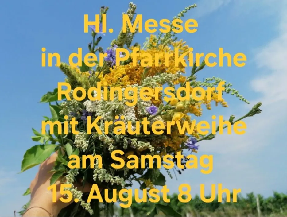 Eine Hand hält einen Blumenstrauß mit gelbem Textüberlagerung, der 'H. Messe in der Pfarrkirche Rodingersdort mit Krauterweine am Samstag 15. August 8 Uhr' lautet.