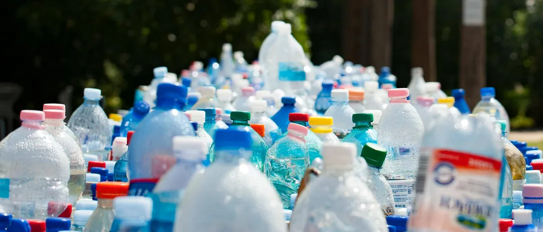 Eine große Sammlung von Wasserflaschen mit verschiedenfarbigen Kappen steht in einer Außenumgebung. Einige Flaschen sind leer, andere voll. Der Hintergrund ist unscharf mit Bäumen und einer Holzstruktur.