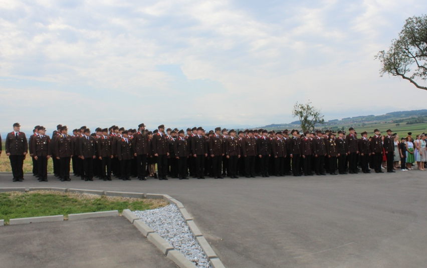 Bild enthält, People, Person, Plant, Tree