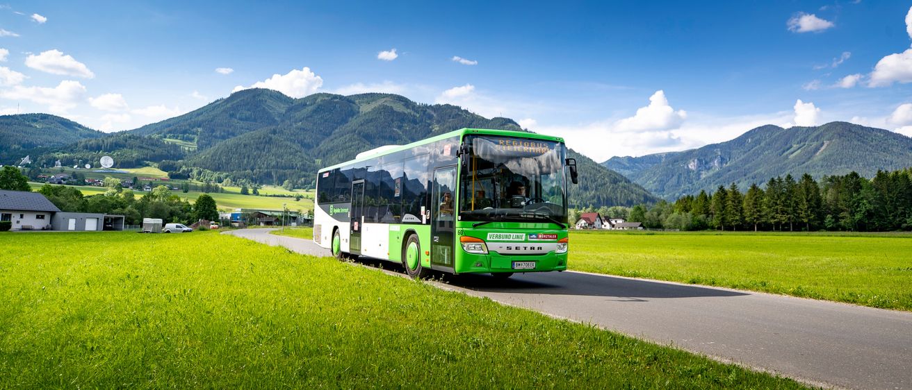 Bild enthält, Bus, Vehicle, Outdoors, Tour Bus, Car, Nature, Scenery, Person, Grass, Wheel