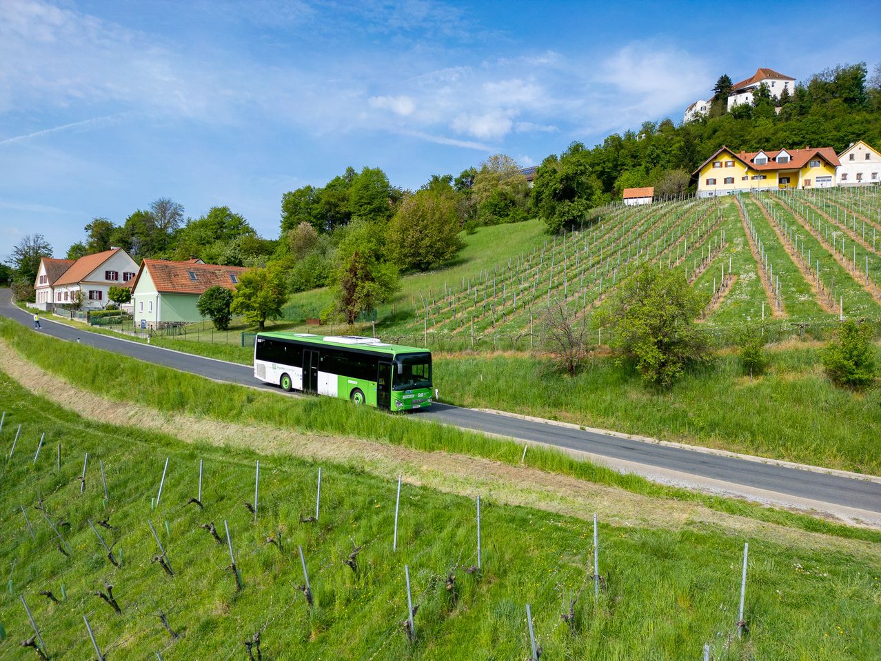 Ein grüner Bus fährt auf einer Straße durch eine ländliche Gegend, mit einem Weinberg und Häusern im Hintergrund.