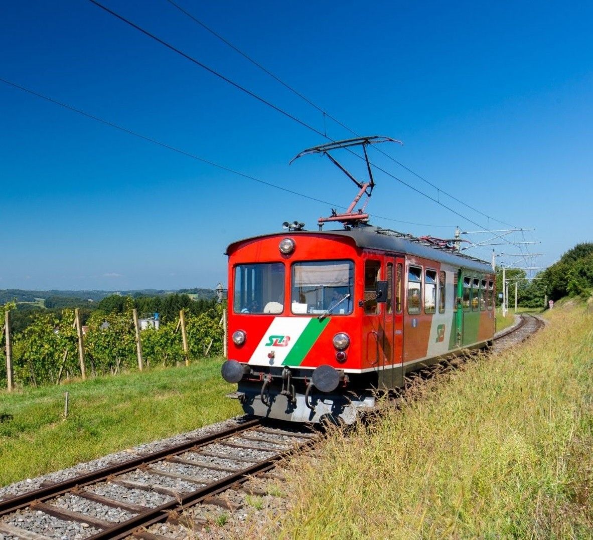 Ein roter Zug mit grün-weißen Streifen fährt auf einer Strecke durch eine üppige grüne Landschaft unter einem klaren blauen Himmel.