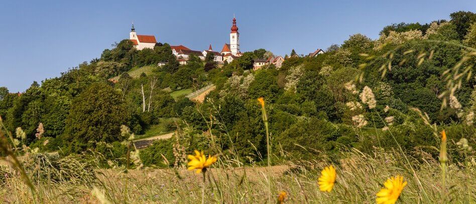 Bild enthält, Vegetation, Field, Grassland, Nature, Outdoors, Woodland, Scenery, Landscape, Grass, Countryside