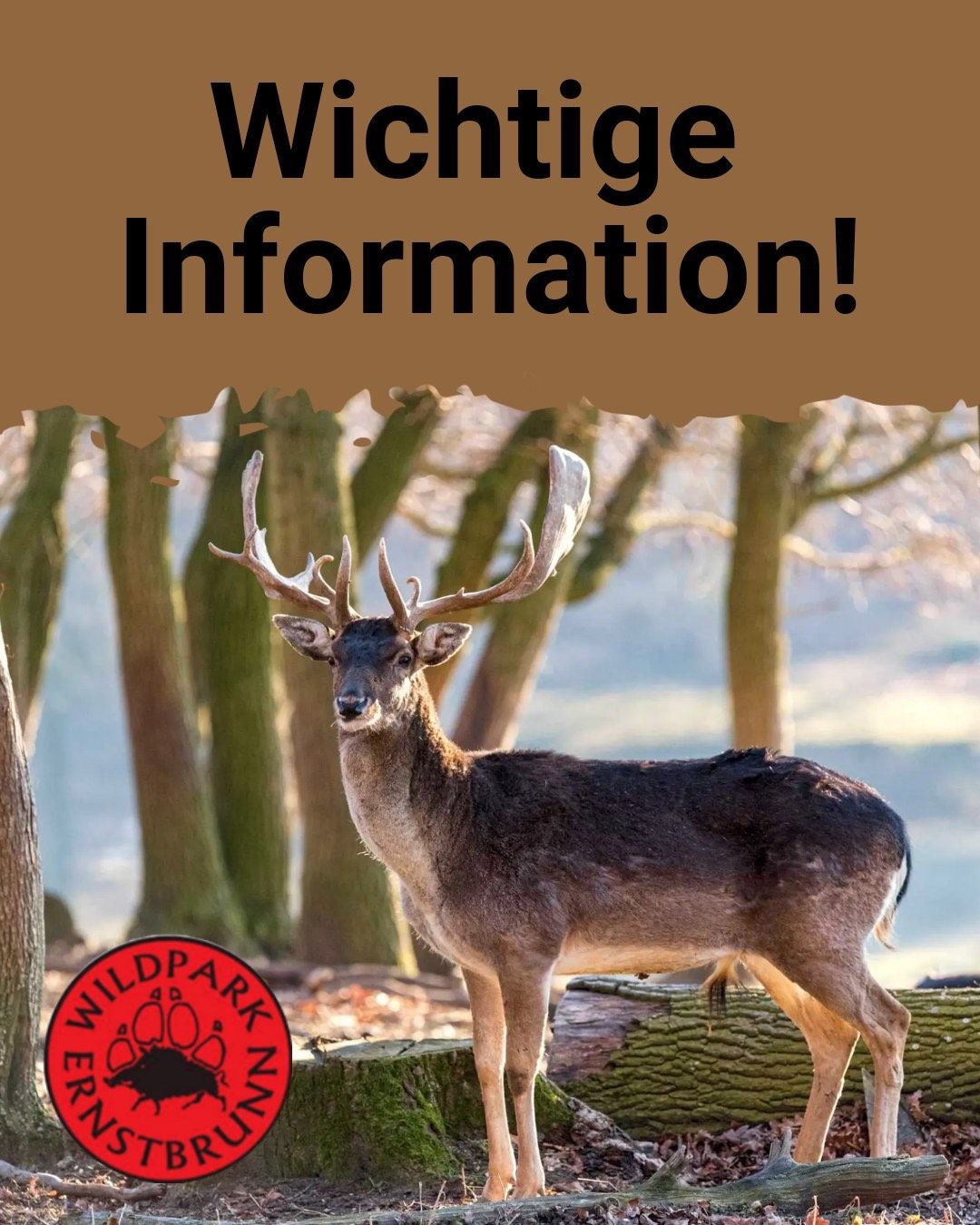 Ein Bild eines Hirsches mit Geweih, der in einem Wald steht. Der Text oben lautet 'Wichtige Information!'. Der Hintergrund ist unscharf. Ein roter Kreis mit einem Pfotenabdruck und dem Text 'Wildpark Erlensee' ist links.