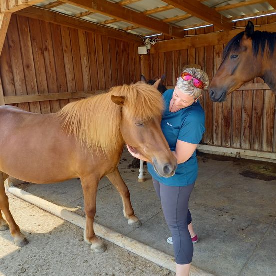 Eine Frau in einem blauen Shirt streichelt ein Pferd mit braunem Haar in einer Holzscheune.
