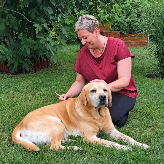 Eine Frau sitzt auf dem Gras in einem Garten und bürstet den Kopf eines Hundes mit einem Stock.