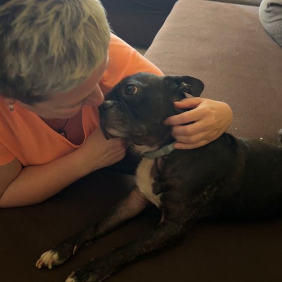 Eine Frau in einem orangefarbenen T-Shirt sitzt auf der Couch und streichelt sanft den Kopf eines schwarz-weißen Bulldoggen.
