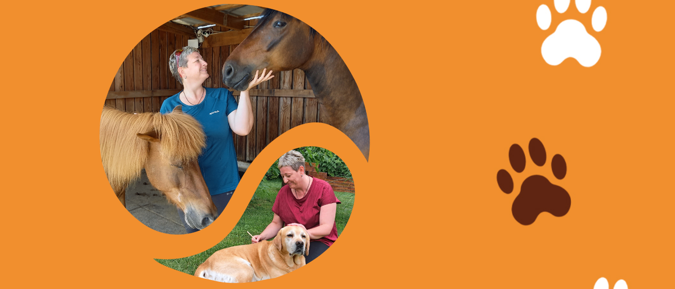 Bild enthält, Adult, Male, Man, Person, Dog, Horse, Photography, Portrait, Colt Horse, Outdoors