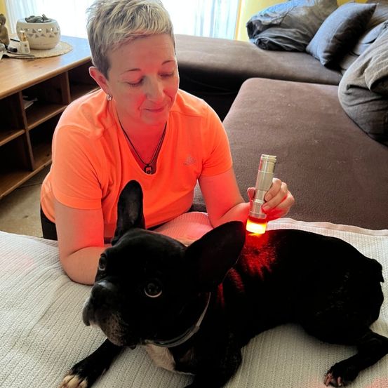 Eine Frau in einem orangefarbenen T-Shirt hält eine rote Lampe über einen schwarzen Hund, der auf einer weißen Decke liegt.