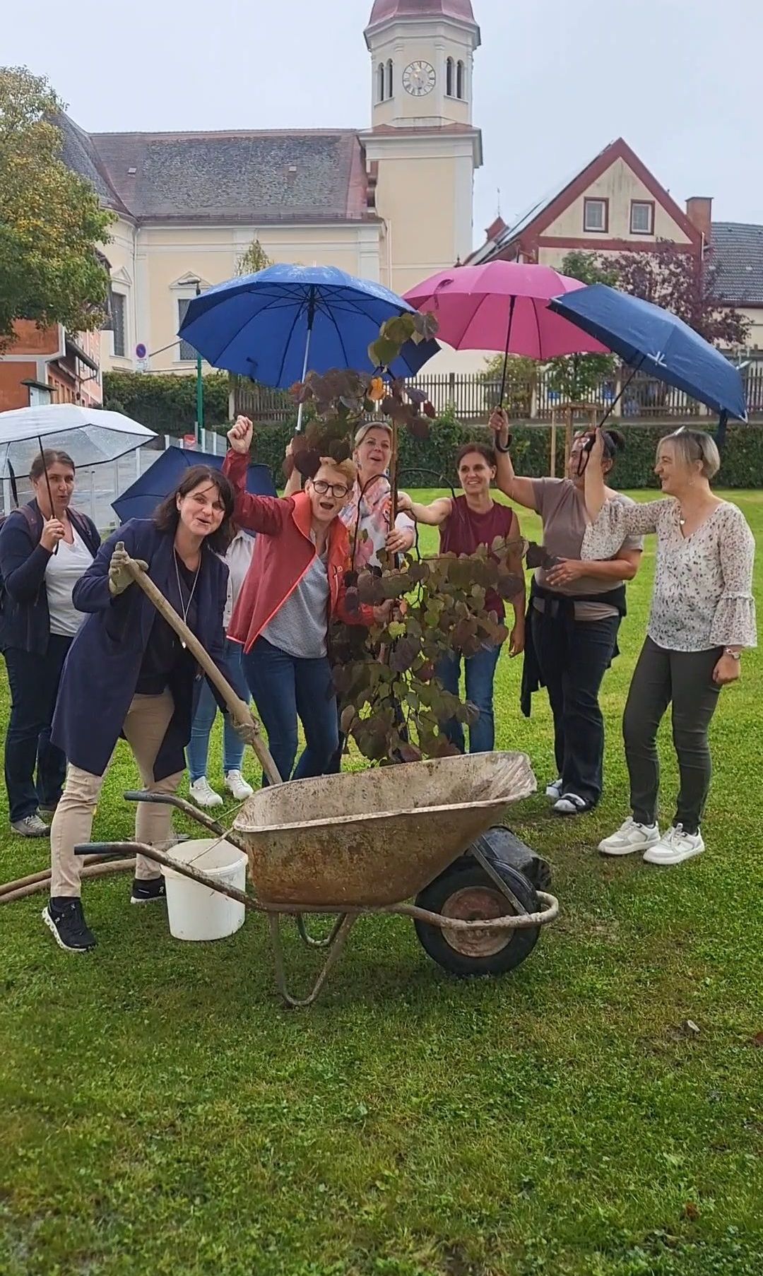 Eine Gruppe von Frauen pflanzt einen Baum mit Schaufeln und einem Schubkarren. Sie halten Regenschirme und lächeln.