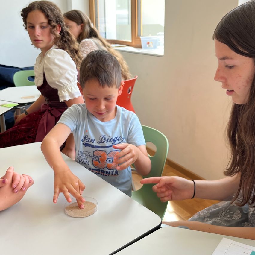 Ein junger Junge und ein Mädchen untersuchen einen kleinen Behälter auf einem Tisch, während ein weiteres Mädchen zusieht. Dahinter sitzen zwei Mädchen, eines in einem Kleid und das andere in einem weißen Oberteil.