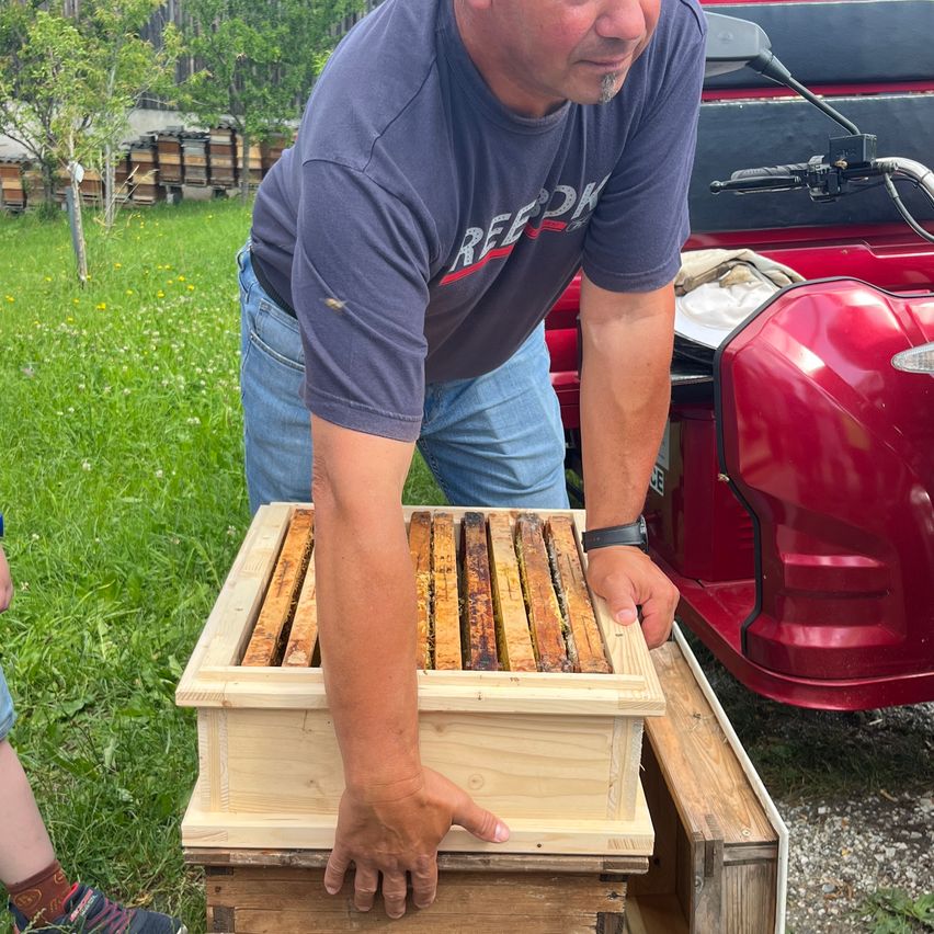 Ein Mann mit einem grauen T-Shirt und Jeans untersucht einen hölzernen Bienenstock im Freien. Der Bienenstock steht auf einer Holzplattform. Ein rotes Fahrzeug ist hinter ihm geparkt, und eine weitere Person ist teilweise links sichtbar.