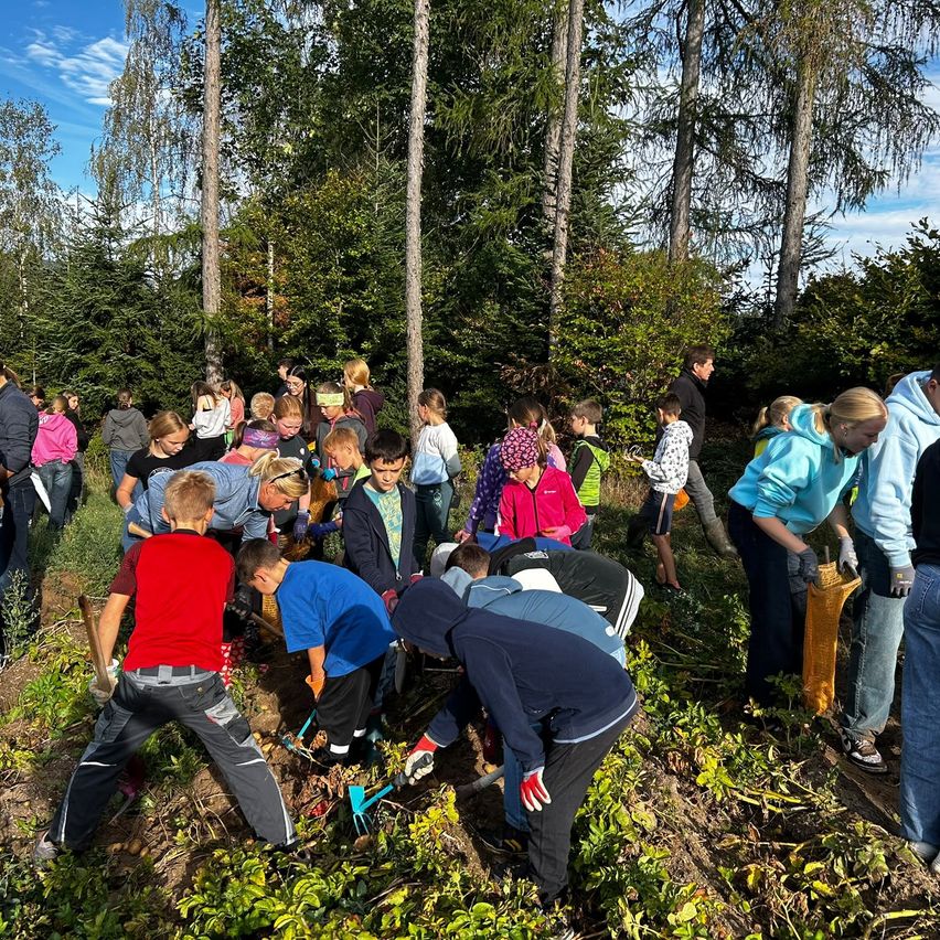 Eine Gruppe von Kindern und Erwachsenen arbeitet in einem Wald, einige beugen sich vor, um Blätter aufzuheben, während andere stehen und zusehen.