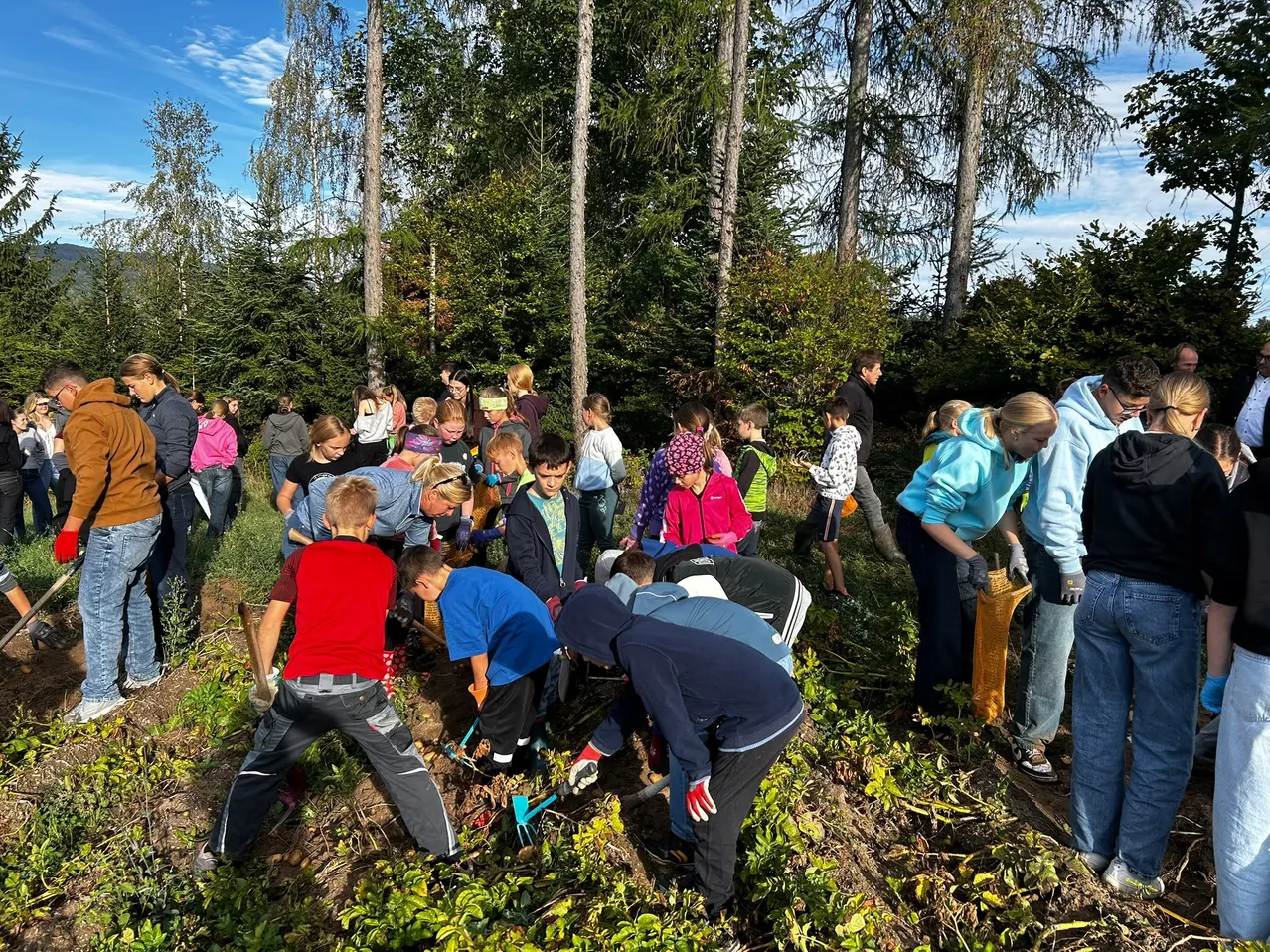Eine Gruppe von Kindern und Erwachsenen arbeitet in einem Wald, einige beugen sich vor, um Blätter aufzuheben, während andere stehen und zusehen.